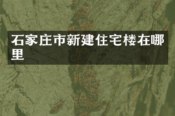 石家庄市新建住宅楼在哪里