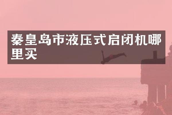 秦皇岛市液压式启闭机哪里买