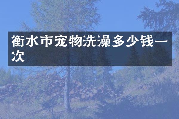 衡水市宠物洗澡多少钱一次