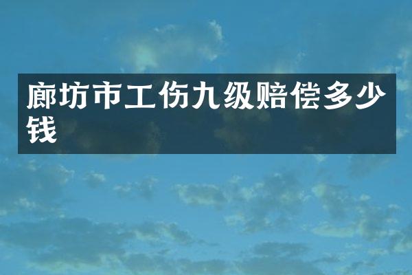 廊坊市工伤九级赔偿多少钱