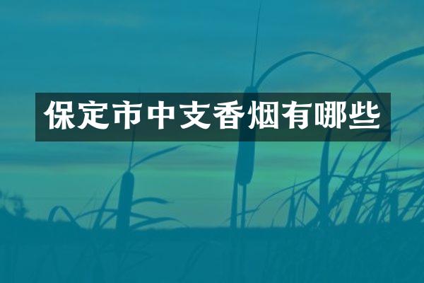 保定市中支香烟有哪些