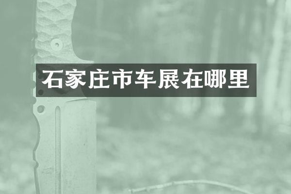 石家庄市车展在哪里
