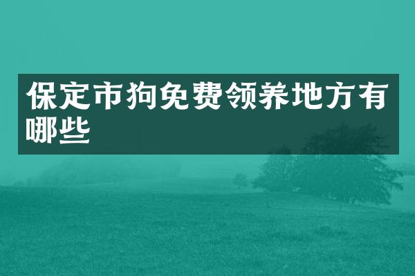 保定市狗免费领养地方有哪些