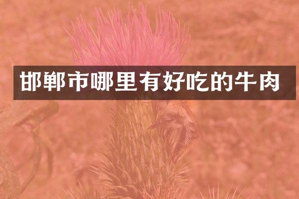 邯郸市哪里有好吃的牛肉