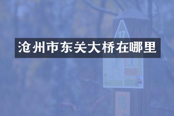 沧州市东关大桥在哪里