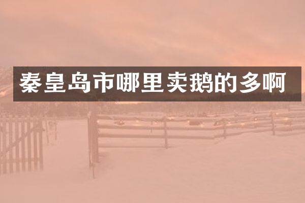 秦皇岛市哪里卖鹅的多啊