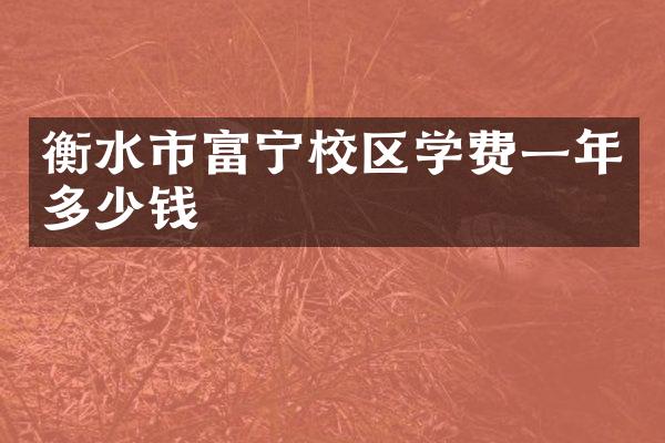 衡水市富宁校区学费一年多少钱
