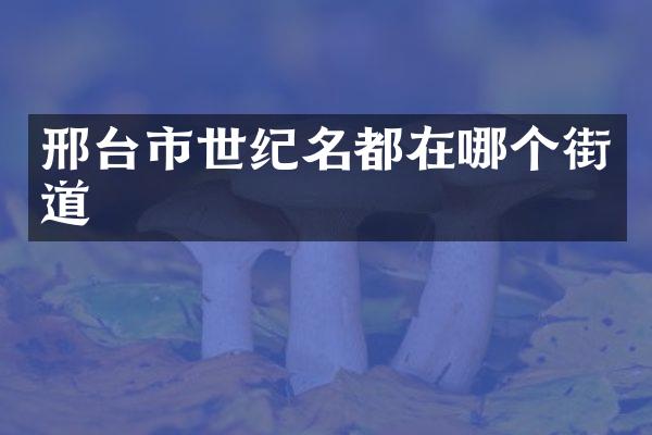 邢台市世纪名都在哪个街道