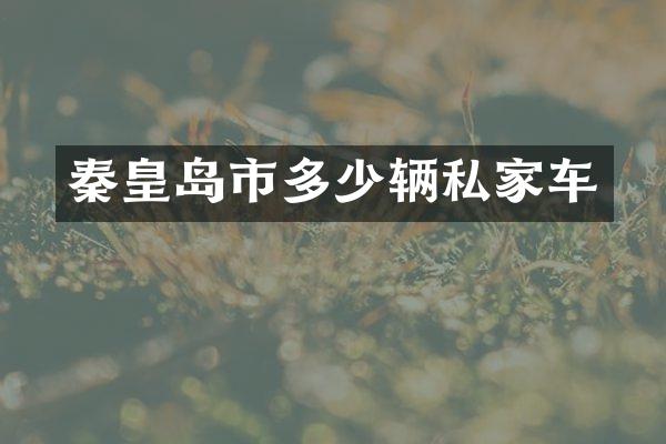 秦皇岛市多少辆私家车