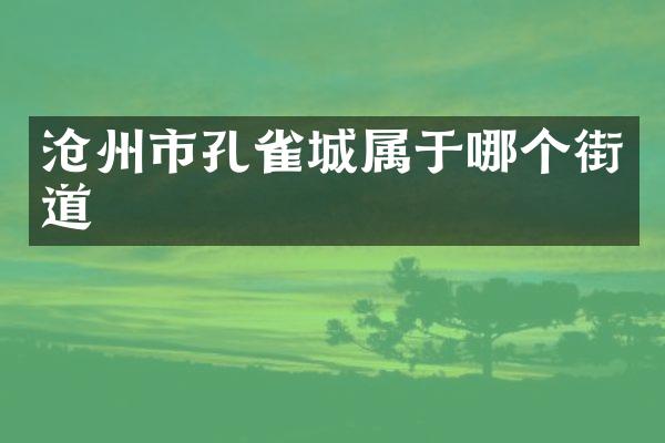 沧州市孔雀城属于哪个街道