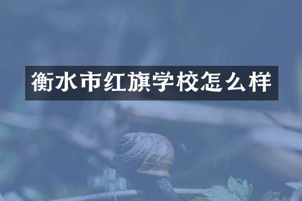 衡水市红旗学校怎么样
