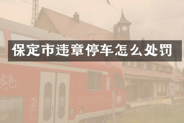 保定市违章停车怎么处罚
