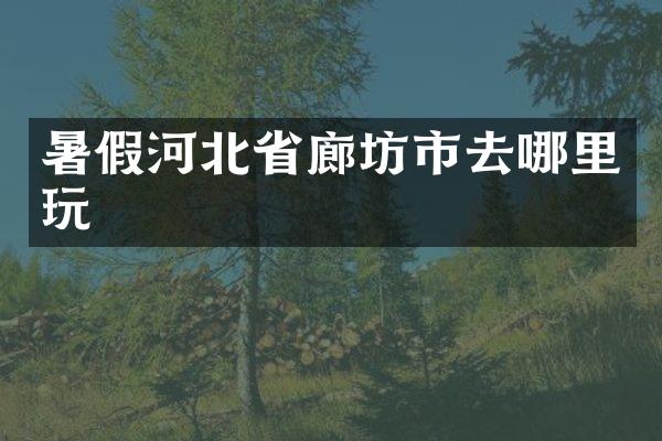 暑假河北省廊坊市去哪里玩