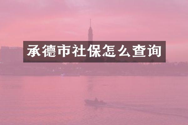 承德市社保怎么查询