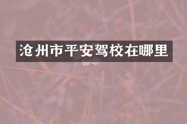沧州市平安驾校在哪里