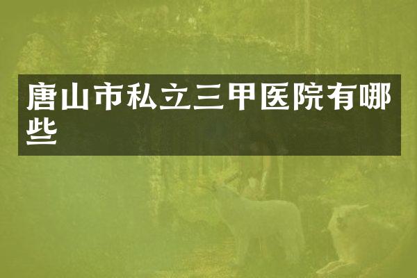 唐山市私立三甲医院有哪些