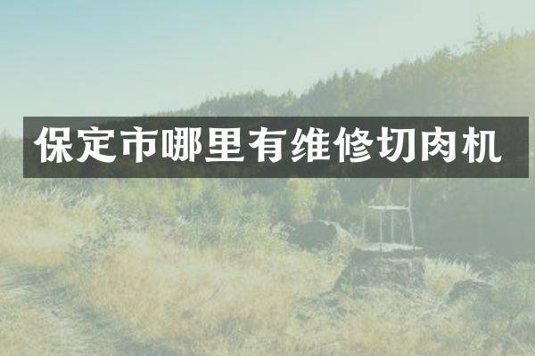 保定市哪里有维修切肉机