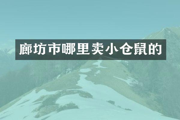 廊坊市哪里卖小仓鼠的