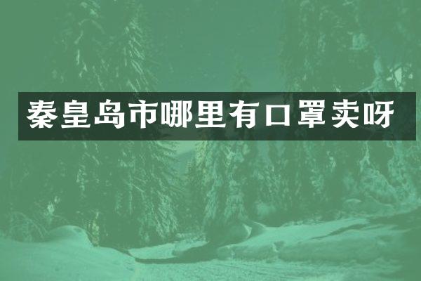 秦皇岛市哪里有口罩卖呀