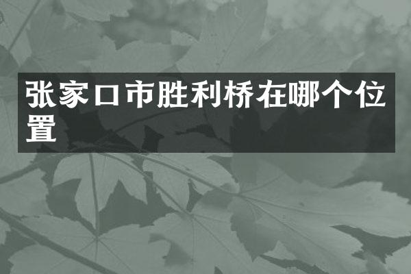 张家口市胜利桥在哪个位置