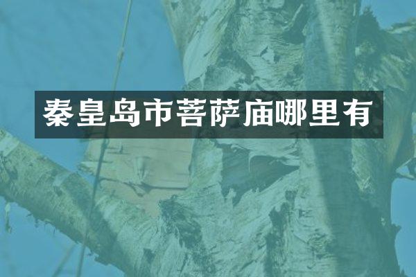 秦皇岛市菩萨庙哪里有