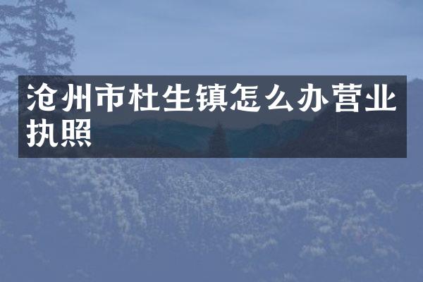 沧州市杜生镇怎么办营业执照