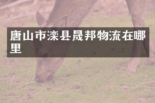 唐山市滦县晟邦物流在哪里