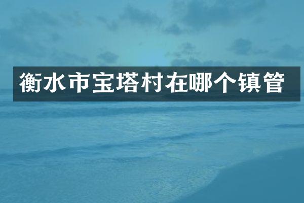 衡水市宝塔村在哪个镇管