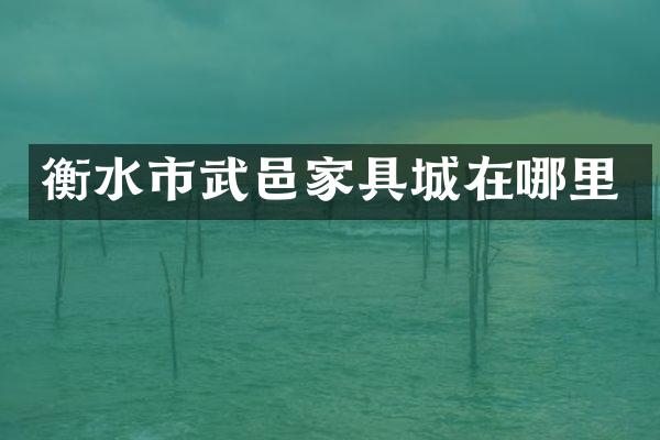 衡水市武邑家具城在哪里