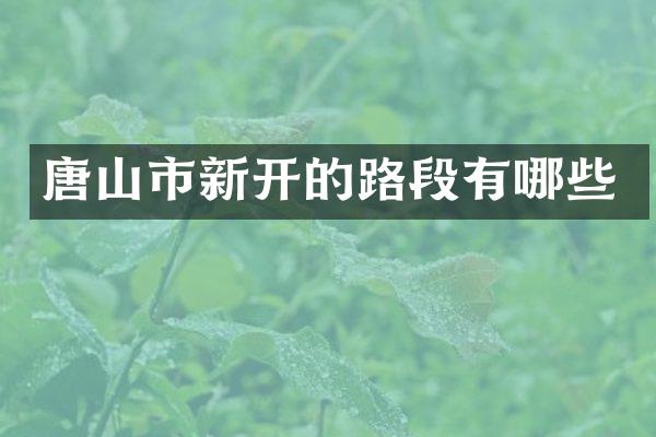 唐山市新开的路段有哪些