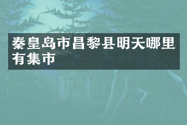 秦皇岛市昌黎县明天哪里有集市