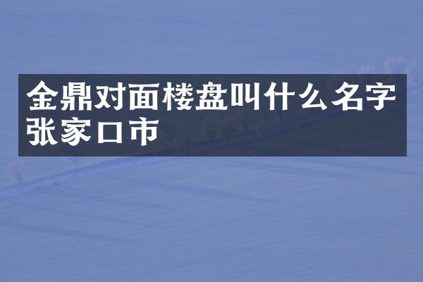 金鼎对面楼盘叫什么名字张家口市