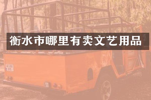 衡水市哪里有卖文艺用品