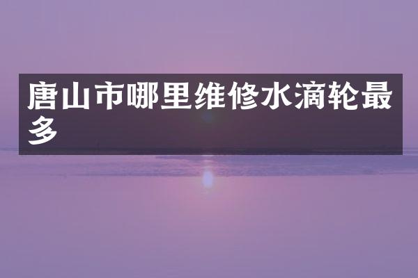 唐山市哪里维修水滴轮最多