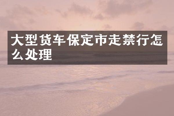 大型货车保定市走禁行怎么处理