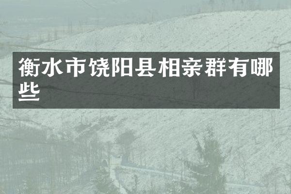 衡水市饶阳县相亲群有哪些
