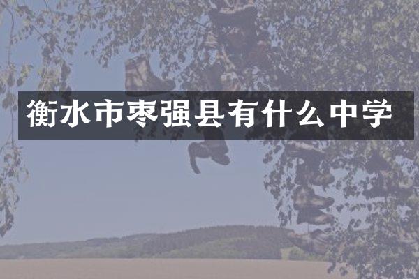 衡水市枣强县有什么中学