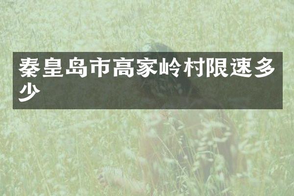 秦皇岛市高家岭村限速多少