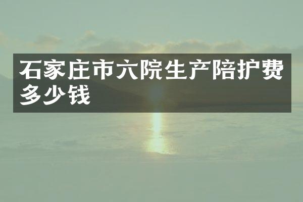 石家庄市六院生产陪护费多少钱