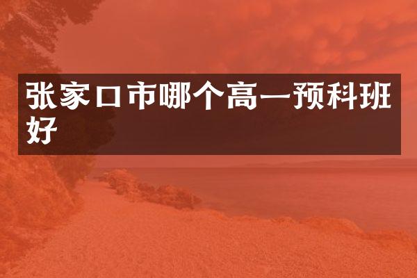 张家口市哪个高一预科班好