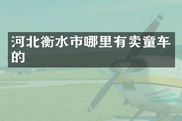 河北衡水市哪里有卖童车的