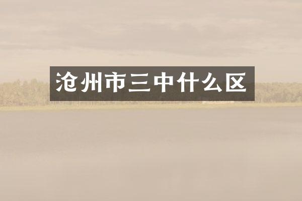 沧州市三中什么区