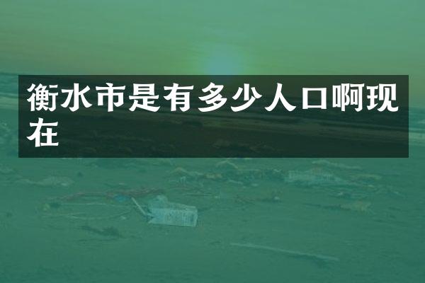 衡水市是有多少人口啊现在