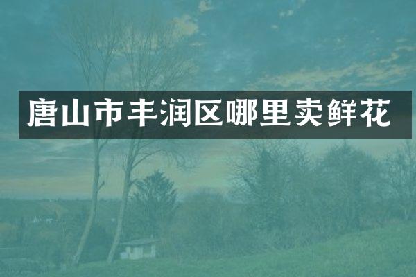唐山市丰润区哪里卖鲜花