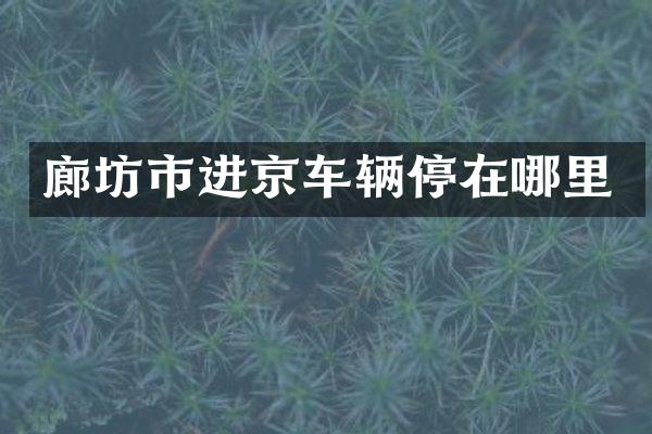 廊坊市进京车辆停在哪里