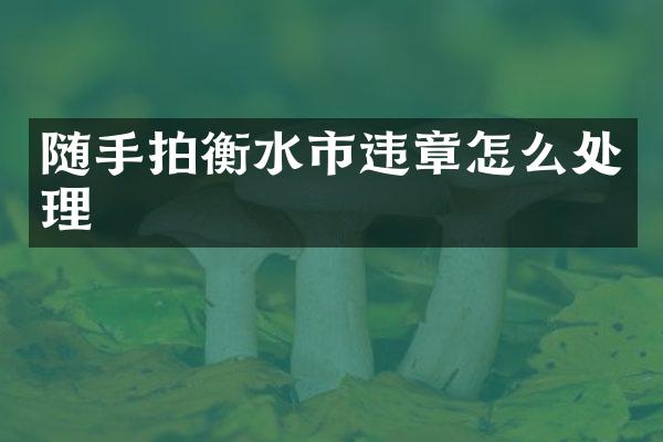 随手拍衡水市违章怎么处理
