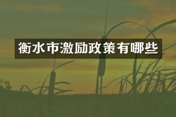 衡水市激励政策有哪些