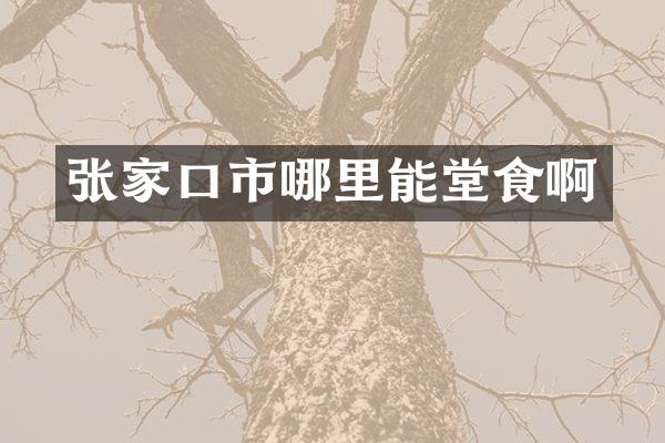 张家口市哪里能堂食啊
