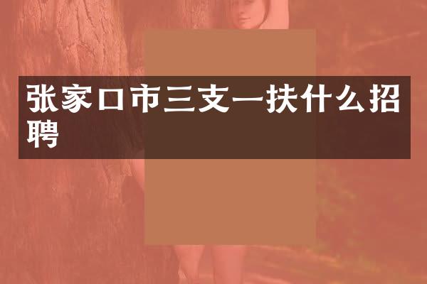 张家口市三支一扶什么招聘
