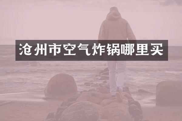 沧州市空气炸锅哪里买